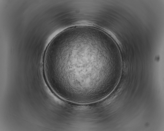 X0000091581387200708201158
