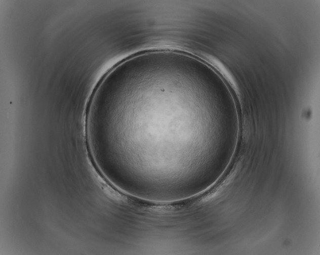 X0000091581388200708201158
