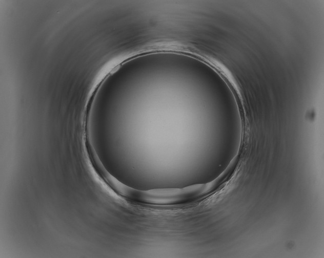 X0000091581389200708201158