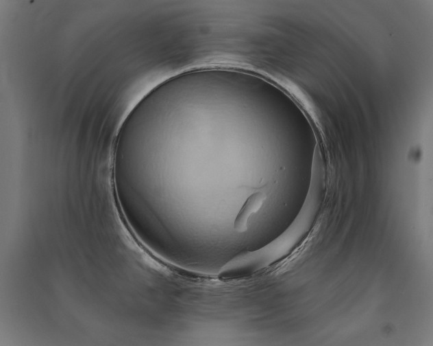 X0000091581390200708201158