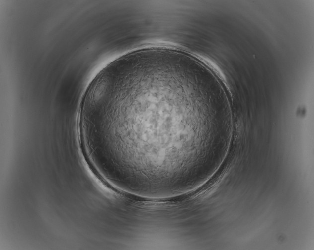 X0000091581391200708201158