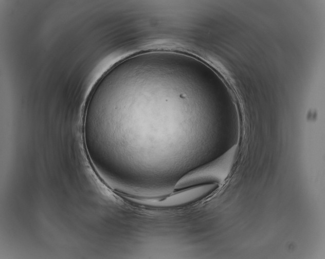 X0000091581392200708201158
