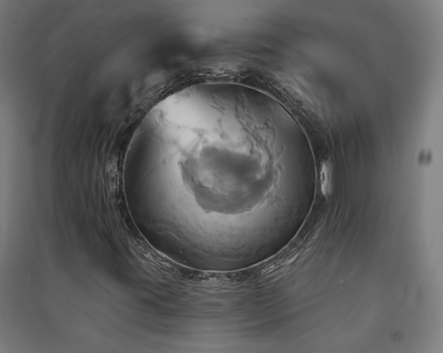 X0000091581395200708201157