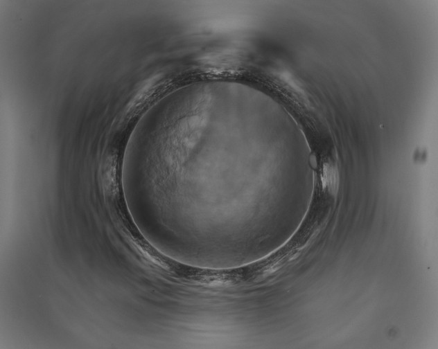 X0000091581396200708201157