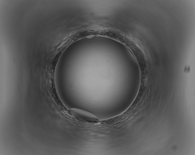 X0000091581397200708201157