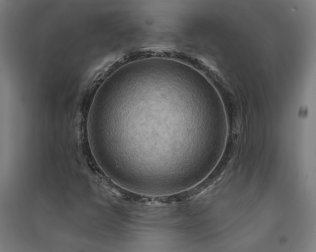 X0000091581398200708201157