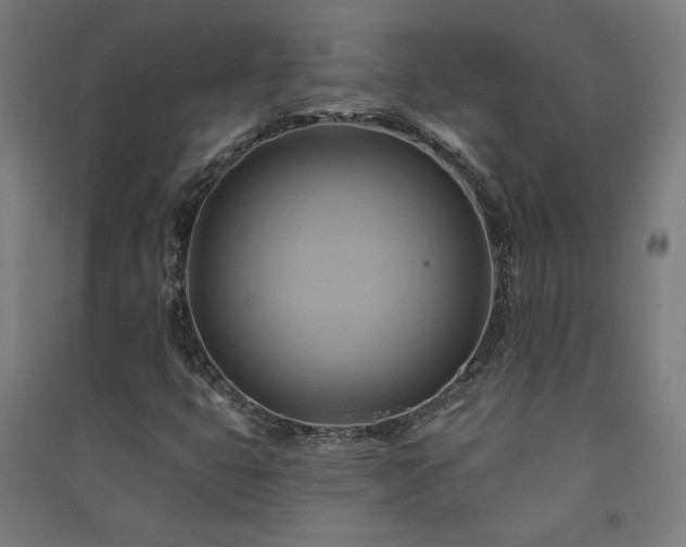 X0000091581399200708201157