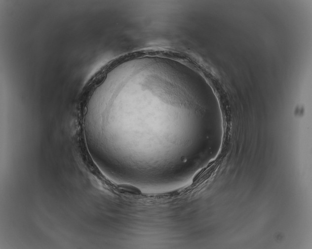 X0000091581400200708201157