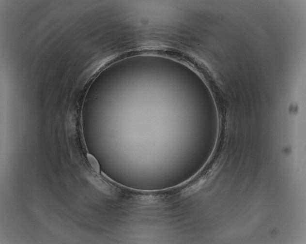 X0000091581401200708201157