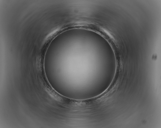 X0000091581403200708201157
