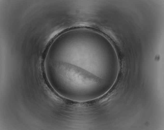 X0000091581404200708201157