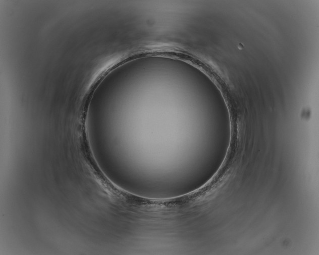 X0000091581405200708201157