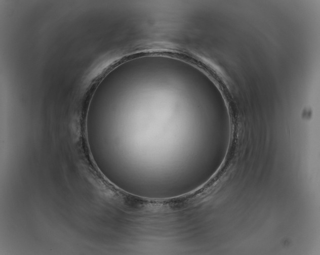 X0000091581407200708201157