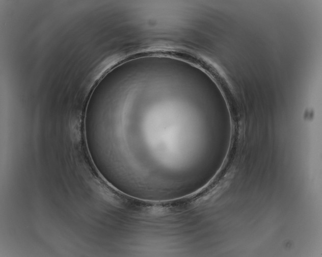 X0000091581409200708201157