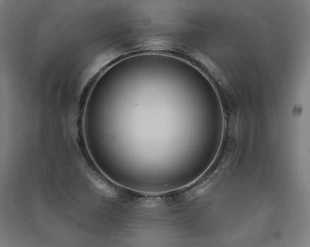 X0000091581410200708201157
