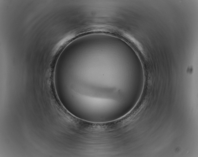 X0000091581411200708201157