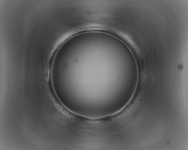 X0000091581413200708201157