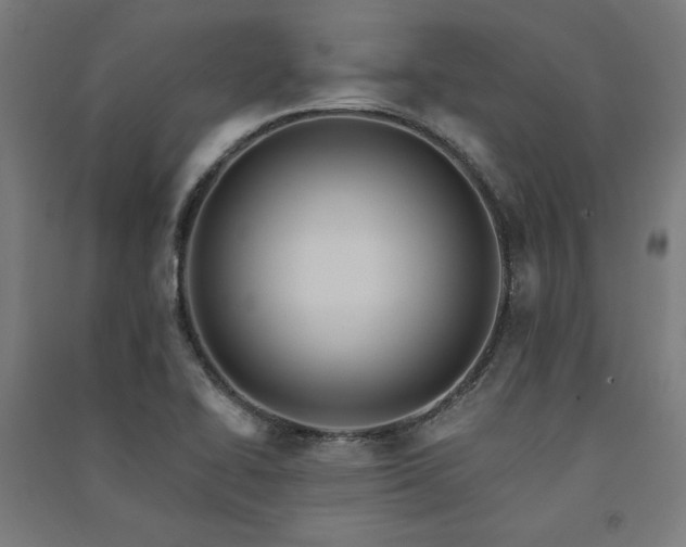 X0000091581414200708201157