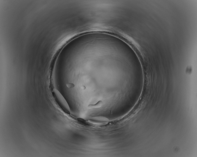 X0000091581415200708201157