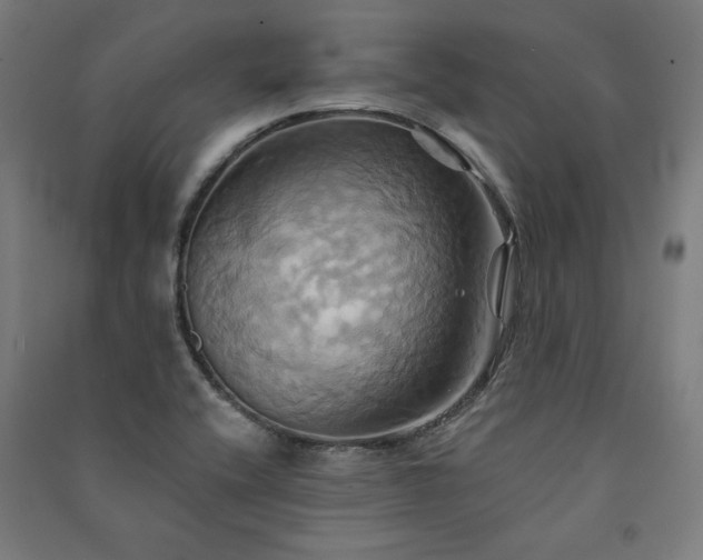 X0000091581416200708201157