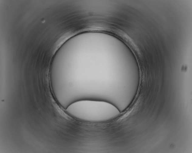 X0000091581417200708201157