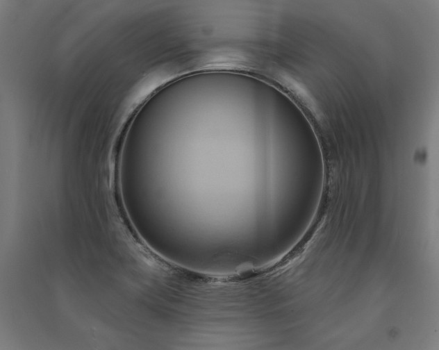X0000091581419200708201157