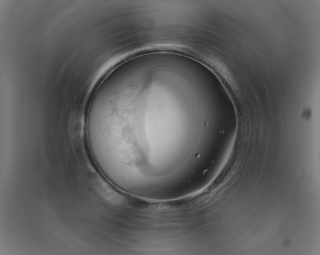 X0000091581420200708201157
