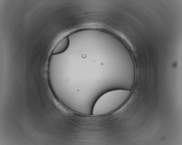 X0000091581421200708201157
