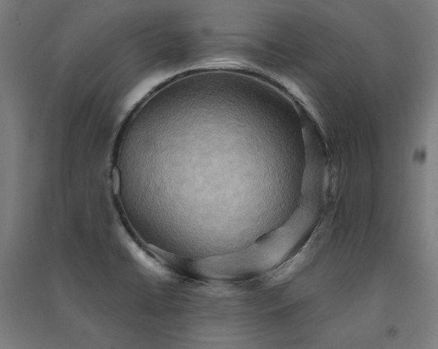 X0000091581422200708201158
