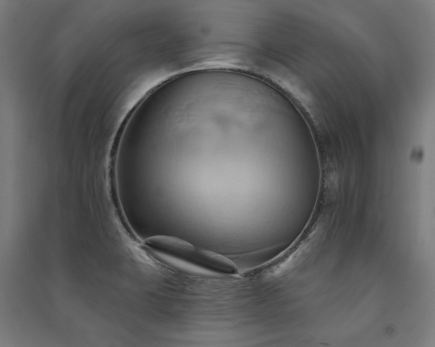 X0000091581423200708201158