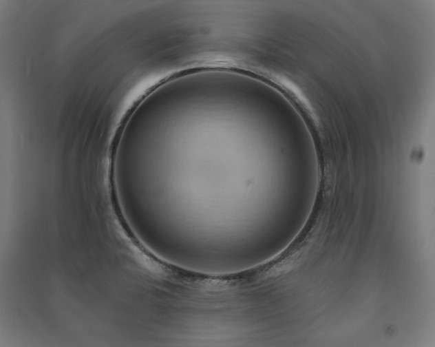 X0000091581424200708201158