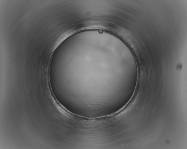 X0000091581425200708201158