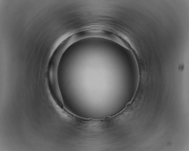 X0000091581426200708201158