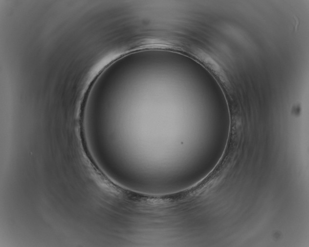 X0000091581427200708201158