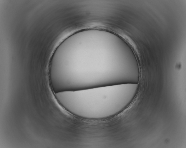 X0000091581429200708201158