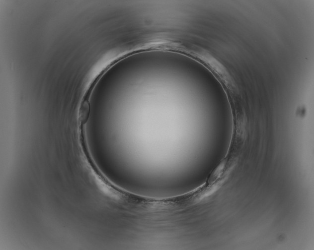 X0000091581430200708201158