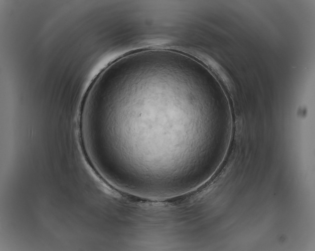 X0000091581432200708201158