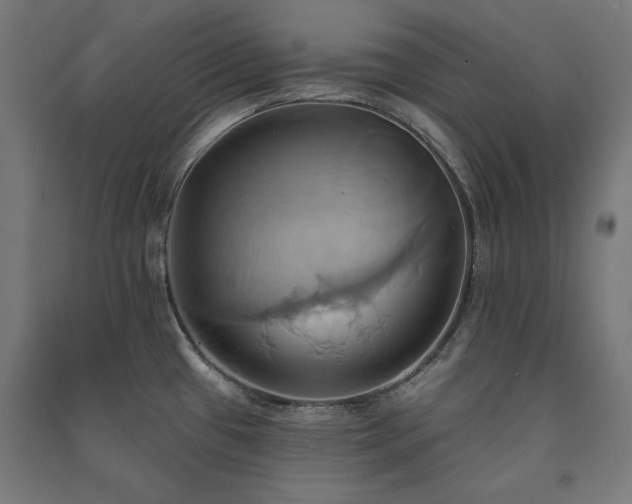X0000091581433200708201158