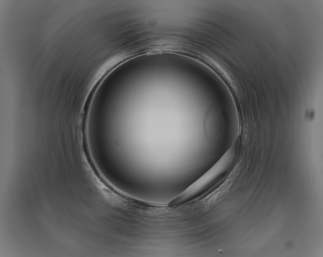 X0000091581434200708201158