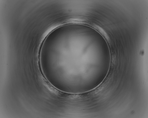 X0000091581435200708201158