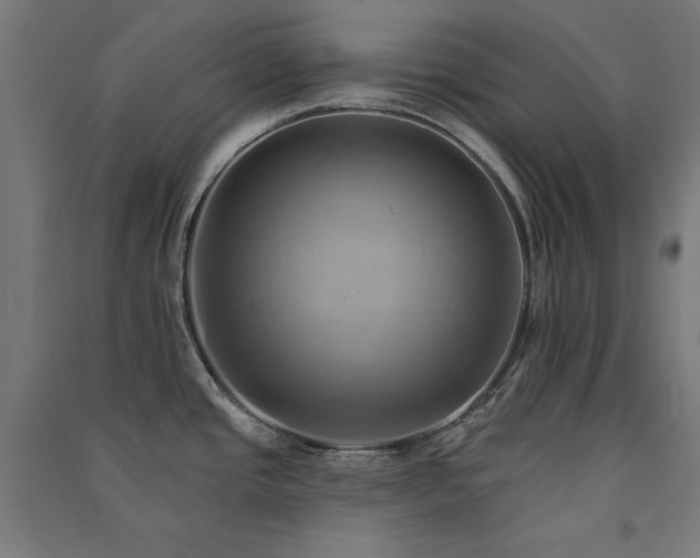 X0000091581437200708201158
