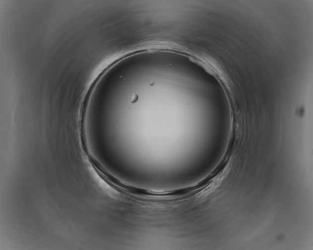X0000091581438200708201158