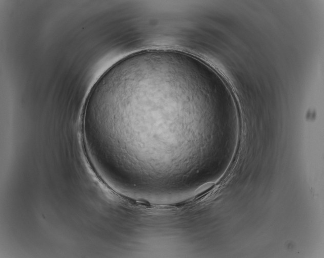 X0000091581440200708201158