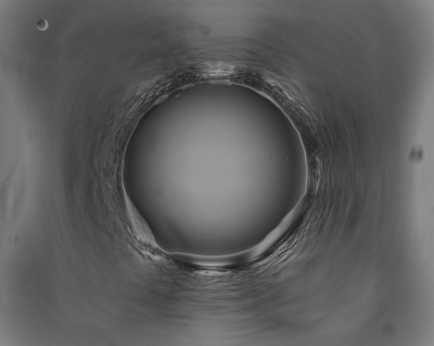 X0000091581441200708201157