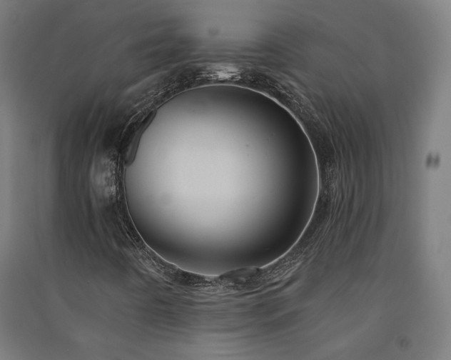 X0000091581442200708201157