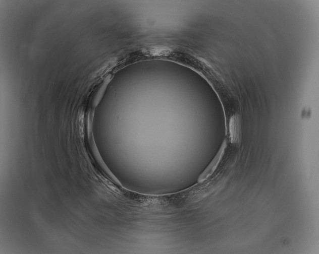 X0000091581443200708201157