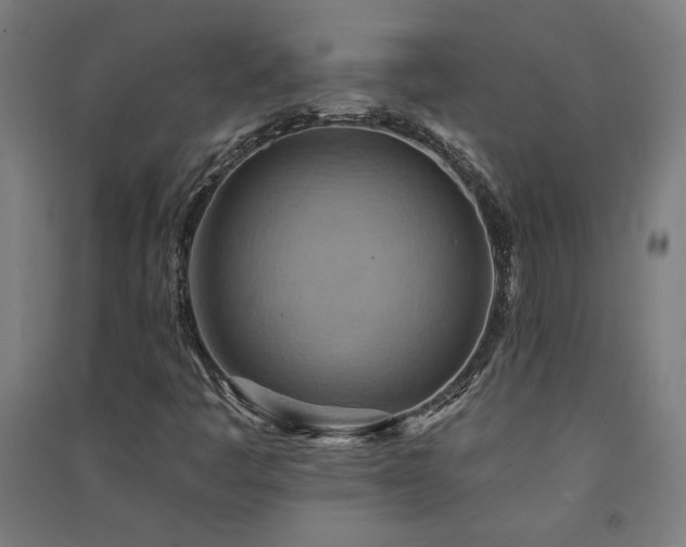X0000091581445200708201157