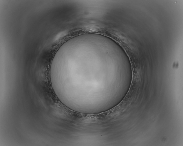 X0000091581446200708201157