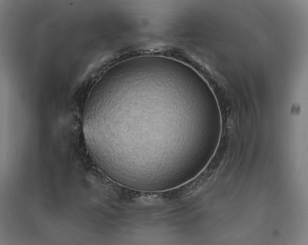X0000091581447200708201157