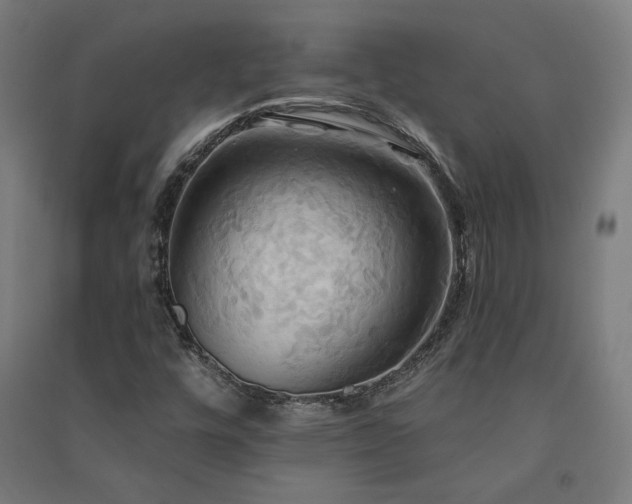 X0000091581448200708201157